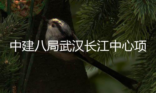 八局举行项目长江大会千人武汉中建中心誓师
